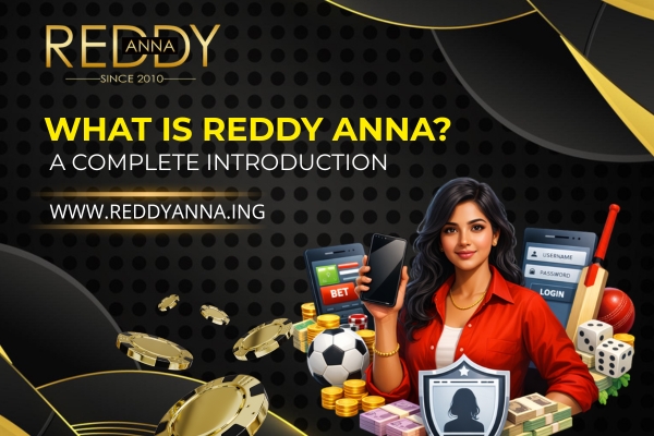 What Is Reddy Anna